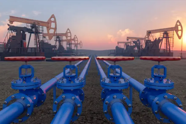 Program Structure for Oil and Gas Course in Malaysia